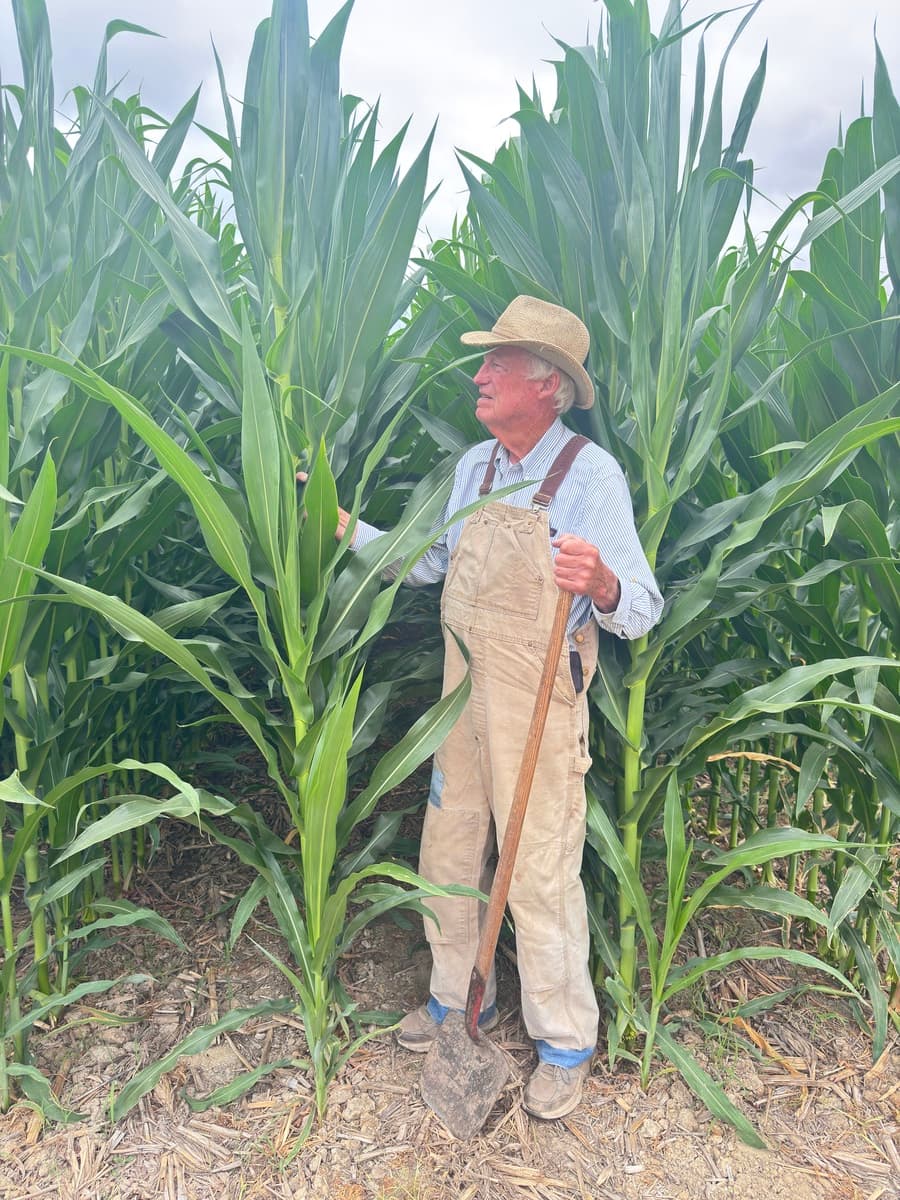 A farmer in overalls looking up at tall corn while holding a shovel